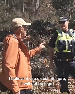 In August, Bob Brown will face court and a potential jail sentence for peacefully defending Swift Parrot habitat from logging. With over 90 arrests of forest defenders in the last 12 months, we are continuing to stand up for nature. But we can’t do it without you. Make a tax-deductible donation before 30 June. | Bob Brown Foundation