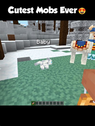 Discover the Cutest Mobs in Minecraft! 😍