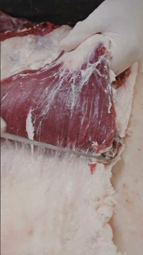 Pulling a beef flank steak. 🔪 #shorts