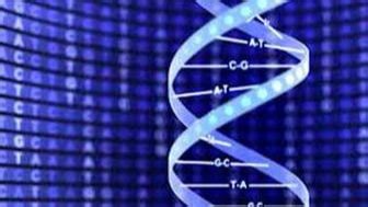 [MIT] 生物学导论：生命的秘密 (全中文字幕) Introduction to Biology - The Secret of Life