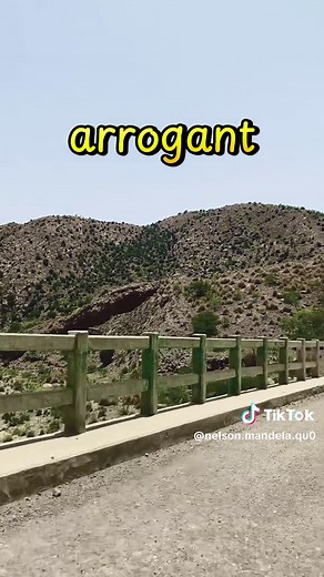 Nelson Mandela Quotes on TikTok