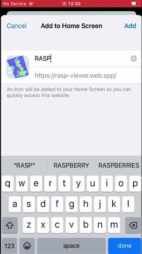 RASP Viewer iOS Install