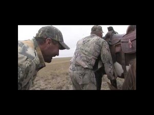 6 Legged Horse Kills Antelope