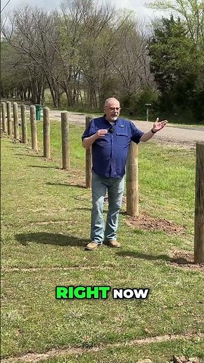 Building Our Fence: Property Boundary Project Begins!