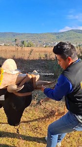 Nomas recorriendo el mundo. Síguenos para más contenido en El Pulque Oaxaqueño | El Pulque Oaxaqueño