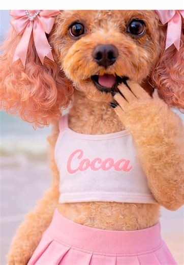 Damnnn I look good! 😅🐶😂 . . . #dance #dancingdog #dancetrend #funny #funnydog