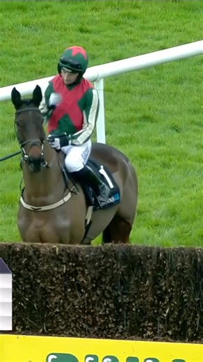A glorious jumping exhibition again from Final Demand ❤️ | Racing TV