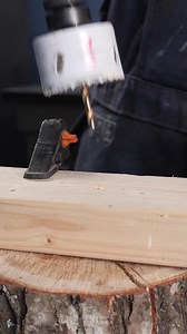 Fish Scaling Tool | DeMilked