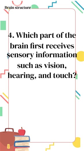 Your Brain Gets Hot in 1 Minute - 1-Minute Science Quiz (1038)