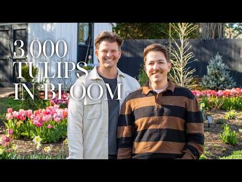 Garden Tour 🌷 3,000 Tulips in Full Bloom | Gardener in Love