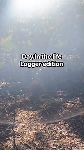 4.4K views · 67 reactions | Day in the life as a logger. Surrounded by woods, our favorite place to be #dayinthelife #bluecollarboys #loggingvideos | Elkins Hardwoods | Facebook