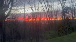 Love my backyard view ❤️ grateful ❤️ | Heather Burkett