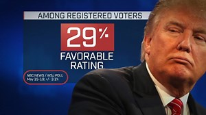 Believe the Polls? How Margin of Error Really Works