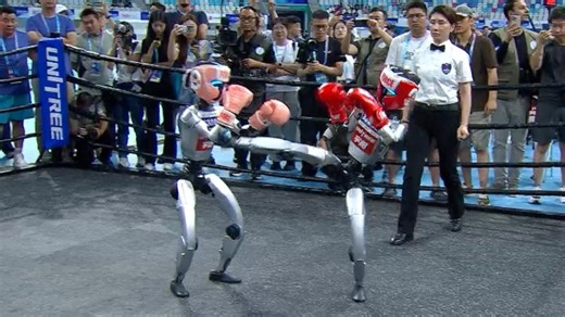 Boxing bots pack a punch at World Humanoid Robot Games