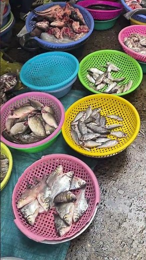 Inside The Most Colorful Fish Market #market #seafood #fishmarket #shorts