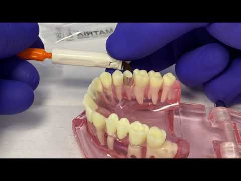 Omnimatrix Matrix band System