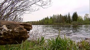 EN RAPPEL | L'état du lac Saint-Charles est inquiétant, selon la plus récente étude menée entre 2012 et 2016 par l'Association pour la protection de l'environnement du lac Saint-Charles et des marais du nord. L'association organise dimanche une journée d'information et d'activités autour du lac Saint-Charles dans ses locaux. | ICI Québec