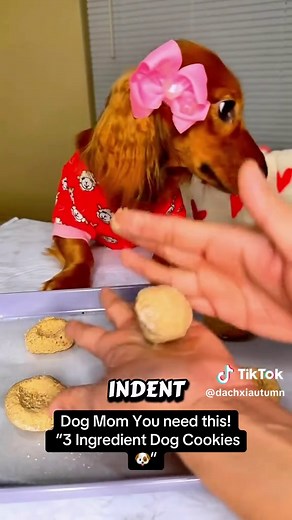 3 Ingredient Homemade Dog Cookies Recipe