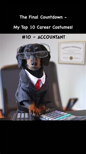 “Do you agree with #1?! Or which was your fav?” ~ Crusoe #halloween #dogcostumes #dogcostume #dachshund | Crusoe the Celebrity Dachshund