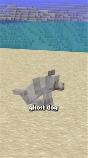 He Stayed After Death… #minecraft #mazeburner #mcpe #shorts