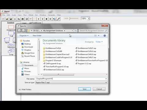 Decision Structures in Raptor
