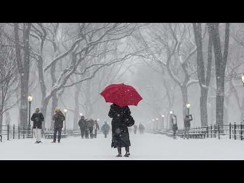 雪が 降る - Graciela Susana (HD)
