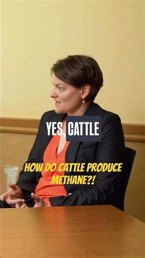How Do Cattle Produce Methane? 🐮💨