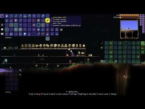 Playing terraria ps5
