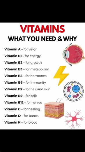Vitamins: What You Need & Why | Essential Vitamins Your Body Uses Every Day