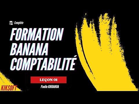 Lesson 1: Banana Accounting Training: A Case Study