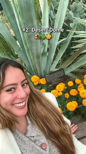 📍Mitchell Park Domes