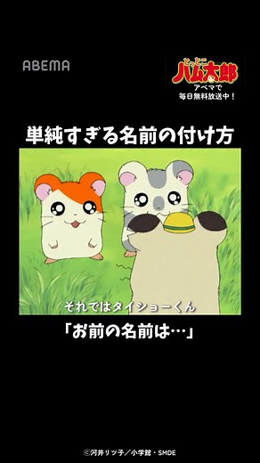 ABEMAアニメ＆声優〜夏アニメ配信中〜 on Instagram: "「決めた！お前の名前は…」 「とっとこハム太郎」はアベマで毎日無料配信中！ ABEMAアプリで『 ハム太郎 』と検索🔍 #ハム太郎 #とっとこハム太郎 #アベマ #abemaanime #アニメ #manga #anime"