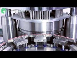 Encapsuladora automatica NJP-1200C