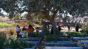 Santa Barbara’s Chumash people blend ancient wisdom with modern innovation