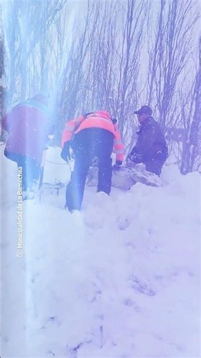Rescate exitoso de burro atrapado en la nieve en Lo Barnechea