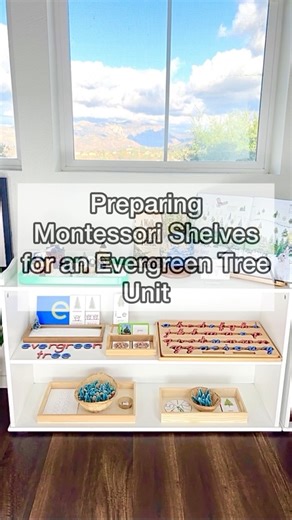 5.7K views | These are the main themed shelves for our evergreen tree...