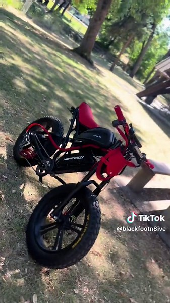 Exploring the Happyrun: TikTok's Cleanest Ride?