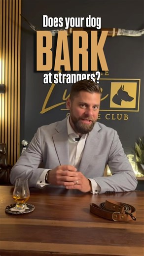 Stop Your Dog Barking at Strangers (Do THIS Instead)