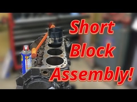 Can We Bring This 350 SBC Back to Life?