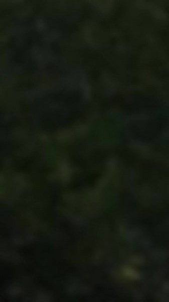 Gagana 🌎💗 (@__gagana)’s videos with original sound - 👽N I M A ⚡🖤