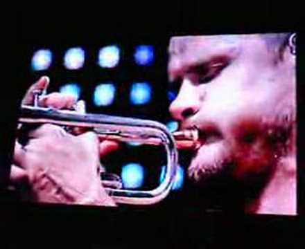 Flea at the Trumpet