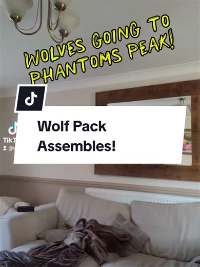 Wolf Mindset on TikTok