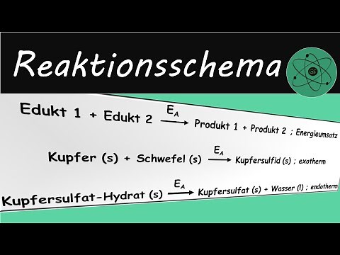 Reaktionsschema aufstellen und lesen
