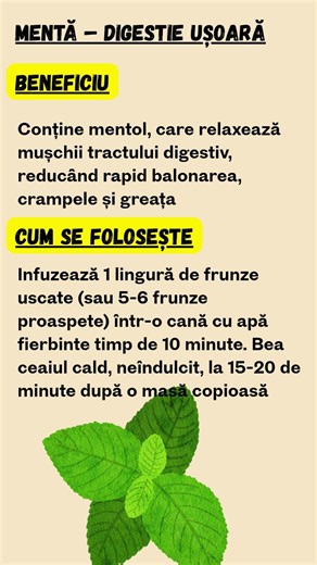 Mentă – Digestie ușoară🍃 Adio balonare! Remediul rapid cu mentă după mese: