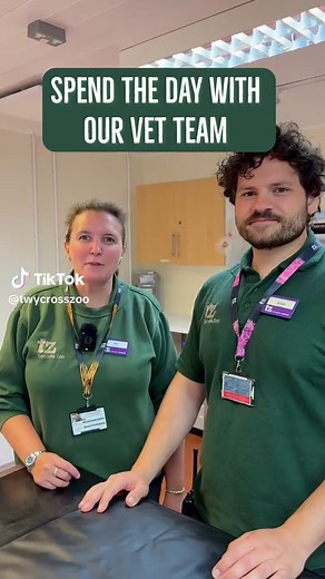 A Day in the Life of a Zoo Vet Team