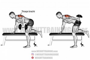 Dumbbell kickback exercise instructions and video | Weight Training Guide