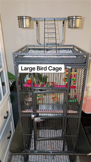 Large Bird Cage for Parrots: The Perfect Habitat