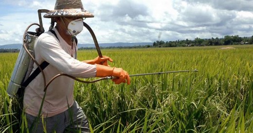 Revolução verde: o que é, origem e impactos
