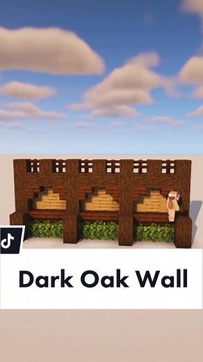 Minecraft Dark Oak Wall Design Ideas
