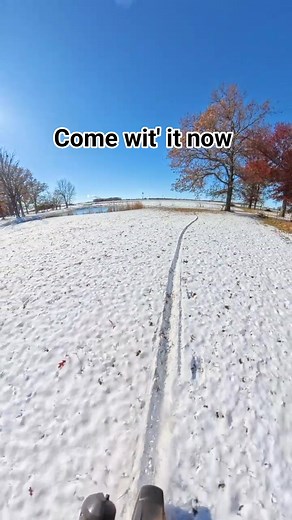 Pocket full of shells | Scooter Trash